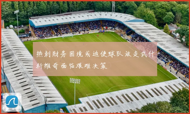 热刺财务困境或迫使球队放走武什科维奇面临艰难决策